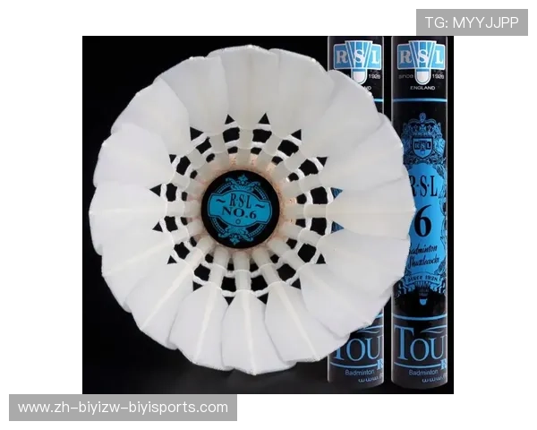 羽毛球独特球形设计与飞行特性分析及其对比赛策略的影响